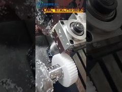 주문형 플라스틱  gigi